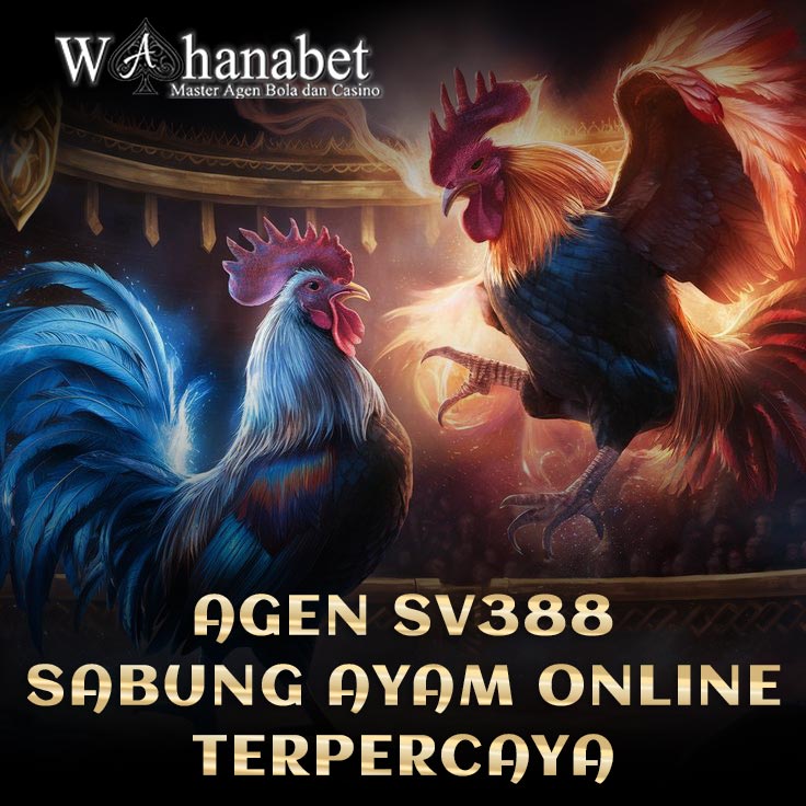 SV388 ☄️ Agen Sabung Ayam Online 24 Jam Daftar Situs Taruhan Wala Meron Terpercaya 