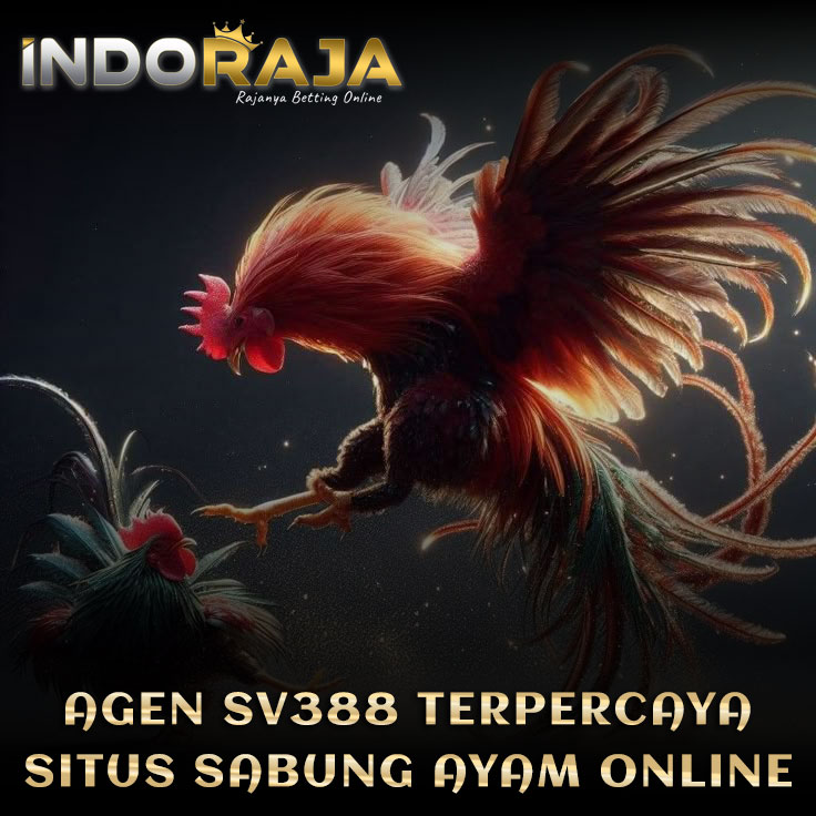 SV388 🌈 Link Login Sabung Ayam Online 24 Jam Situs Resmi Live Arena Filipina