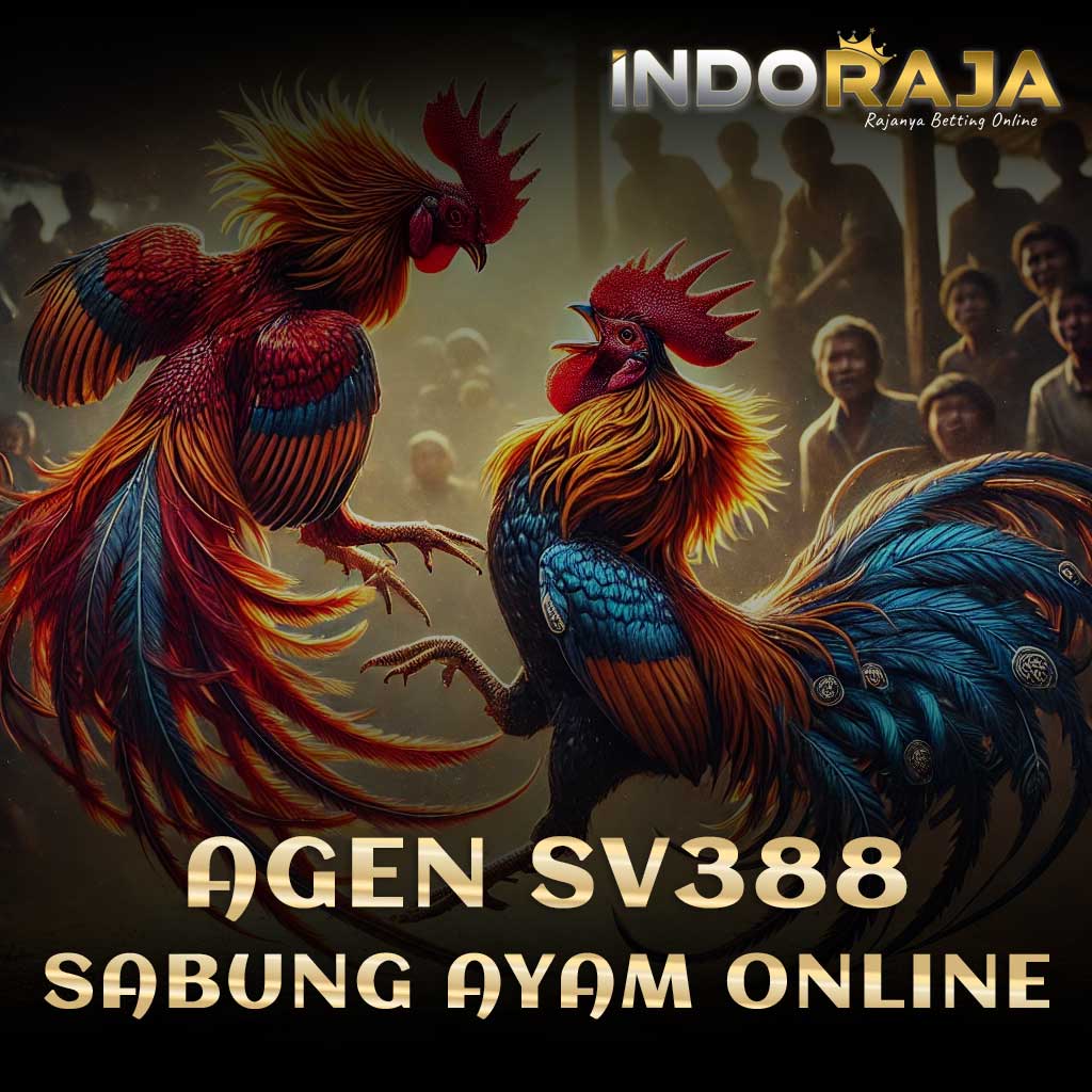 SV388 🐔 Situs Resmi Agen Sabung Ayam Online Terpercaya Live 24 jam Arena Filipina