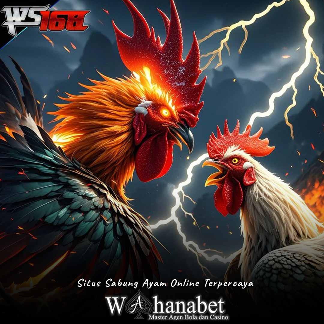 WS168 🐓 Link Situs Agen Sabung Ayam Online Terpercaya Streaming 24 Jam Live Arena Filipina Kualitas Terbaik